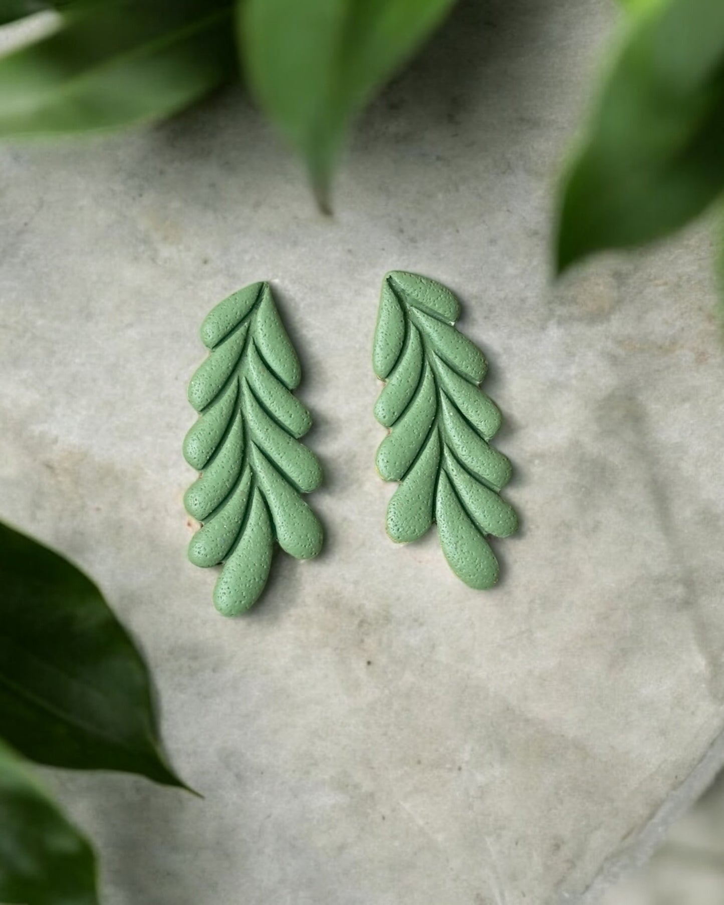 Trapa | Olive Green