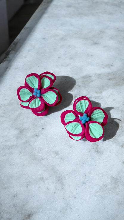 Clari | Calipso & Fucsia