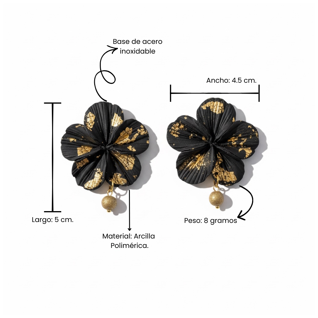 Clari | Black Golden