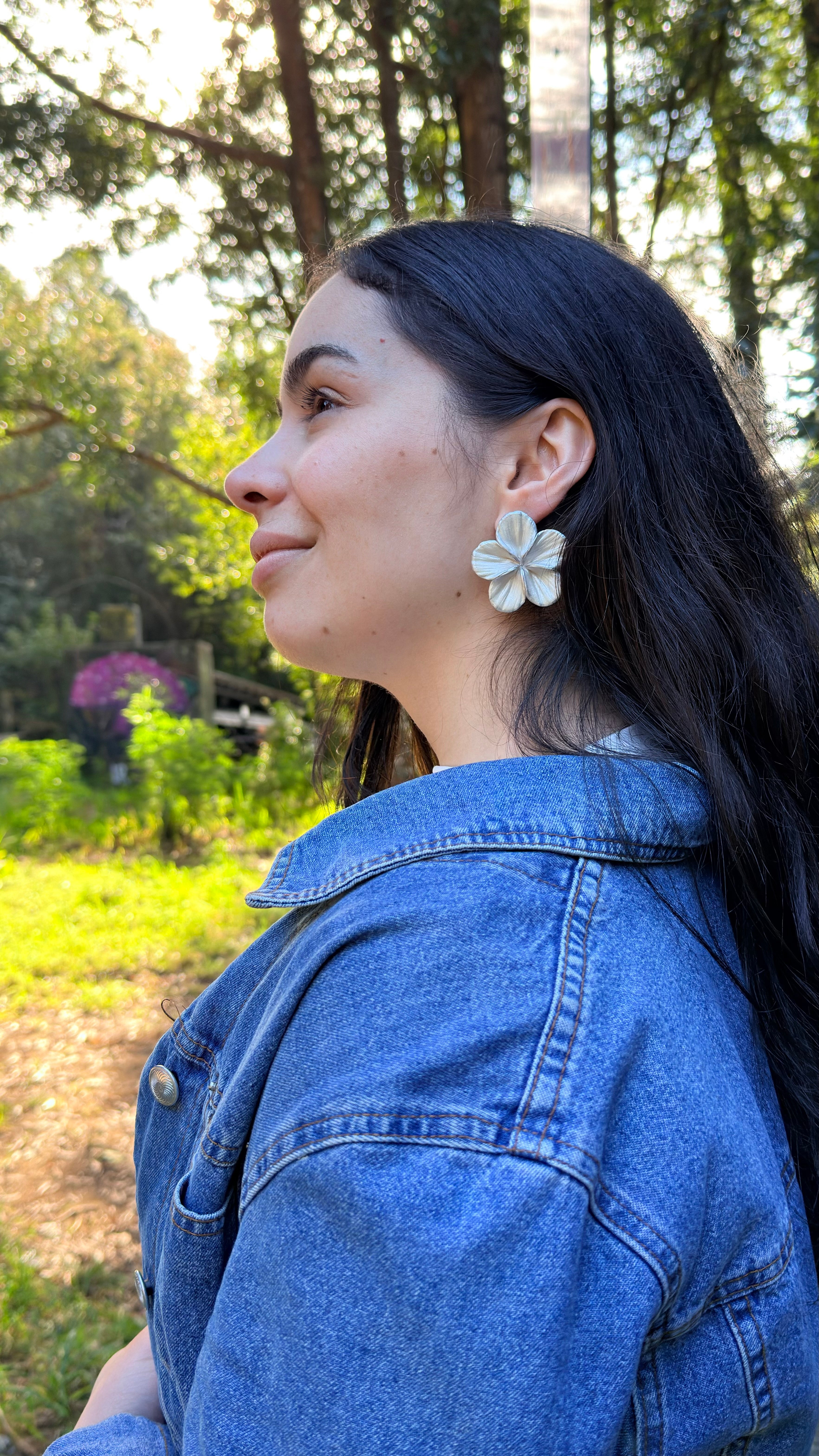 Clari | Silver Soul