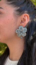 Clari | Silver Party