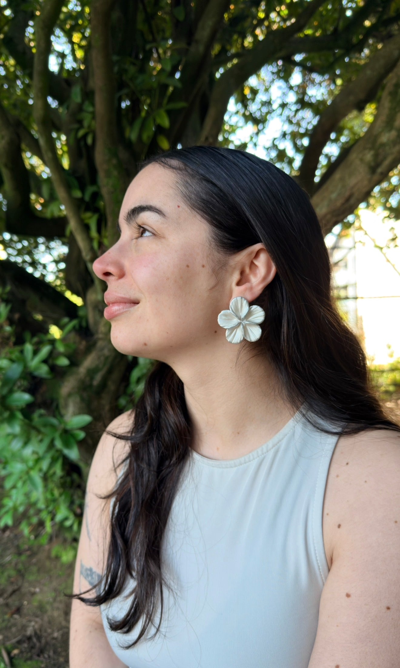 Clari | Silver Soul