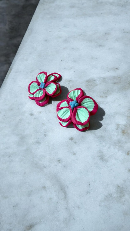 Clari | Calipso & Fucsia