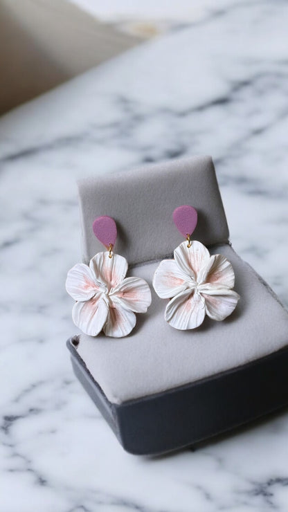 Clari | Sweet Angel