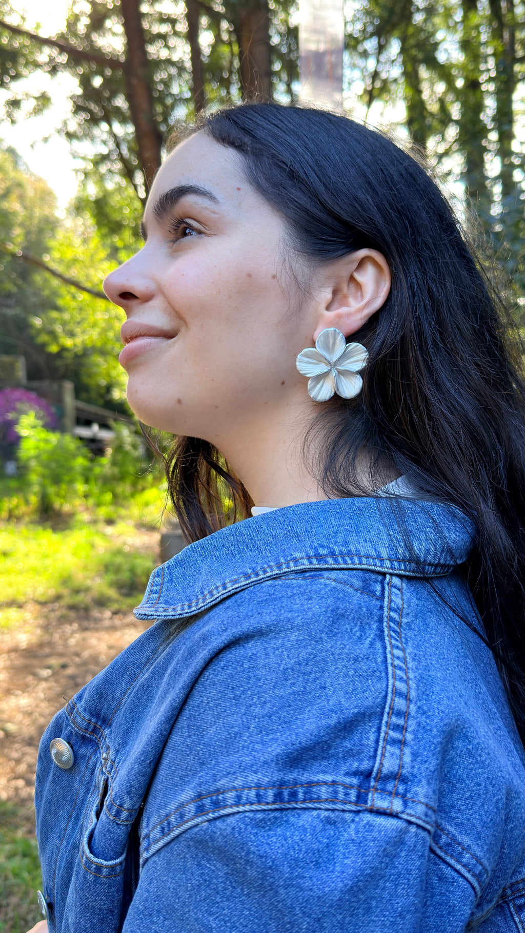 Clari | Silver Soul