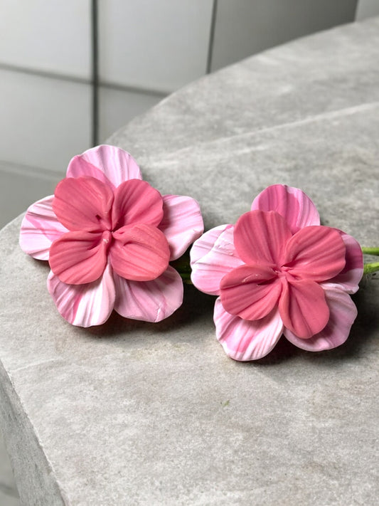 Clari | Rosa