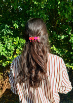 Hairclip | Fucsia Colors