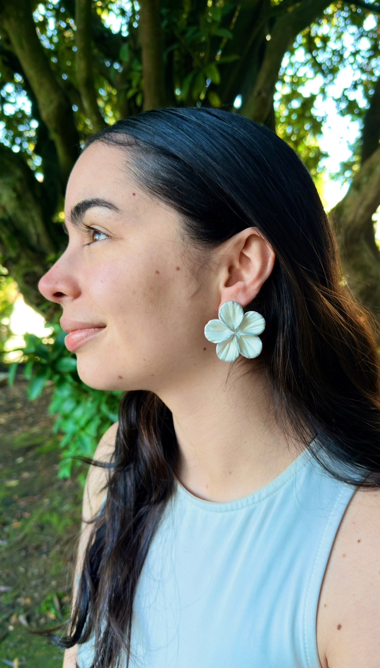 Clari | Silver Soul
