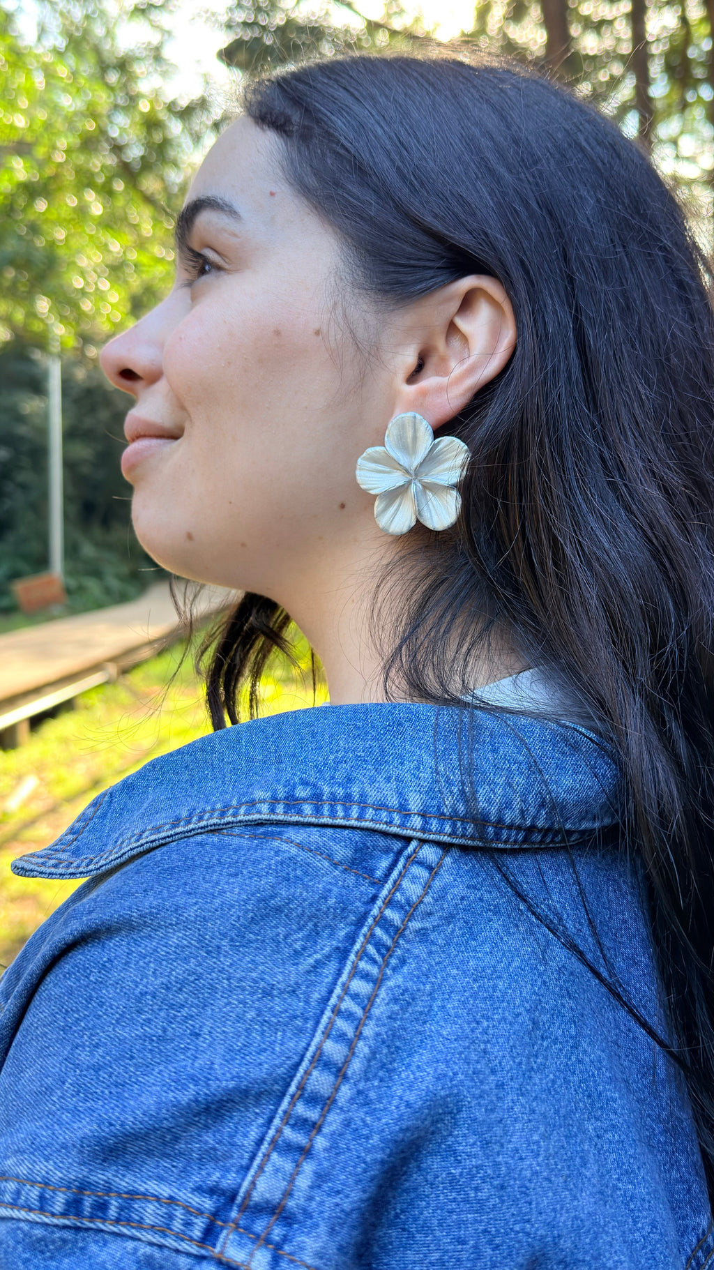 Clari | Silver Soul