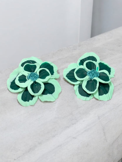 Clari | Green Forrest