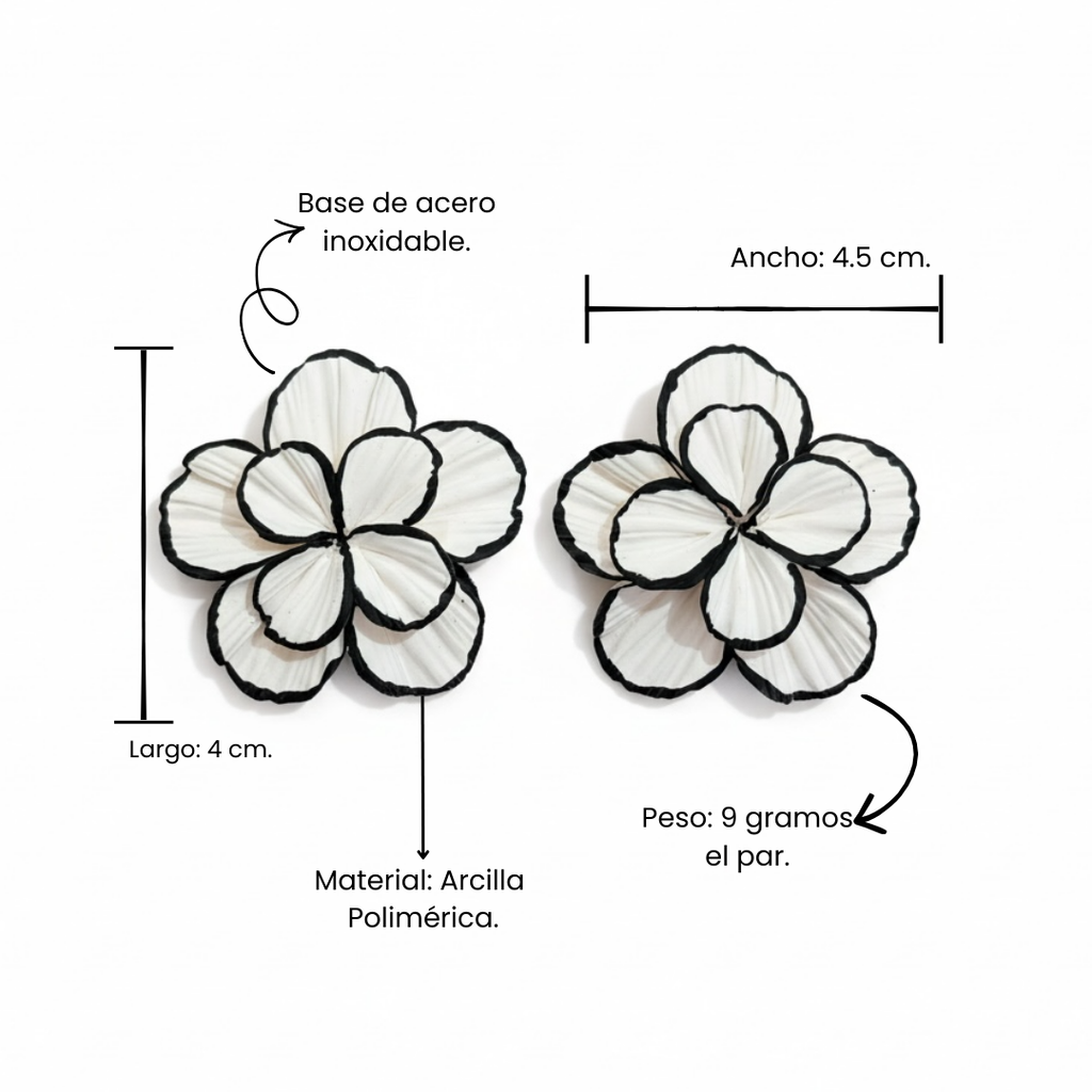 Clari | Black & White