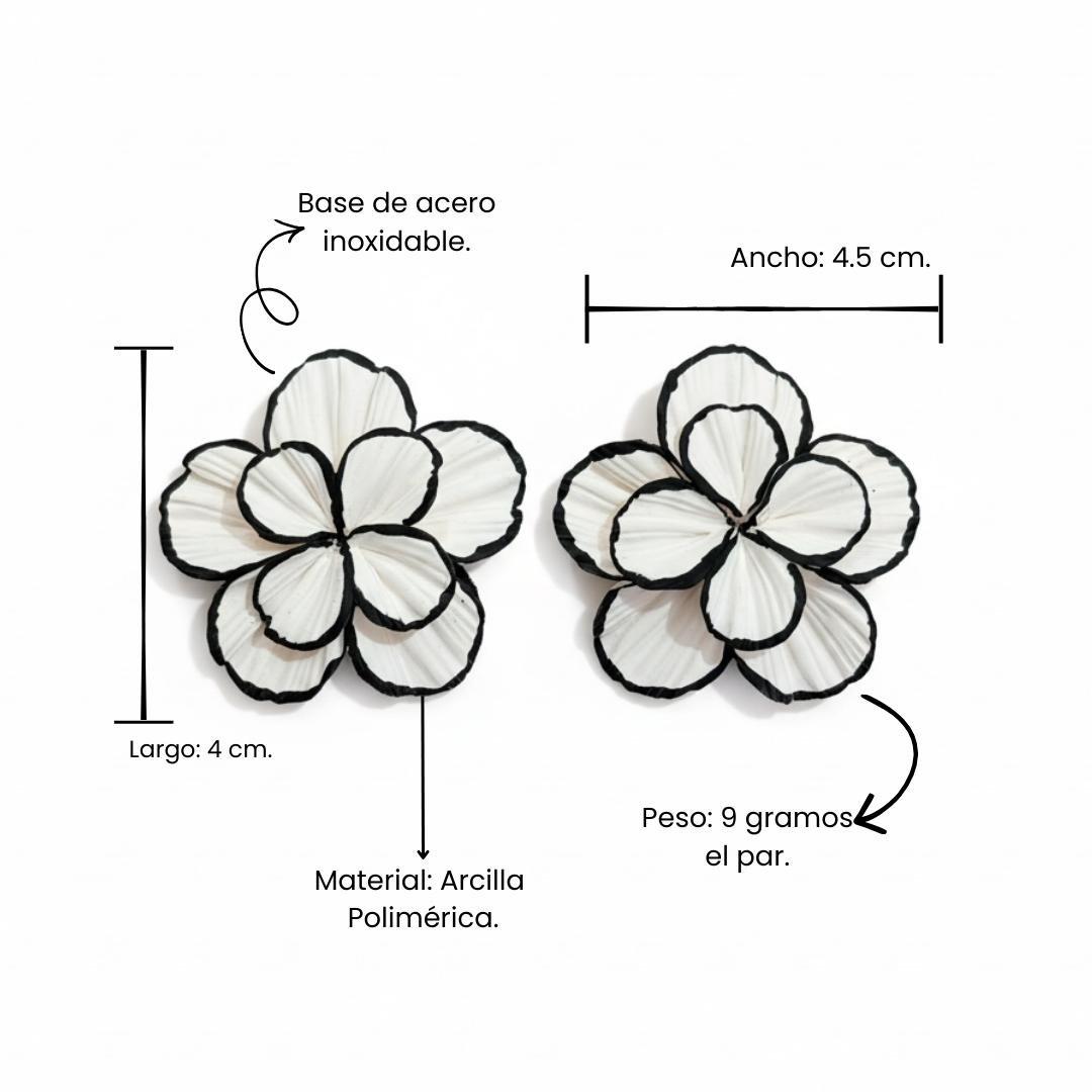 Clari | Black & White