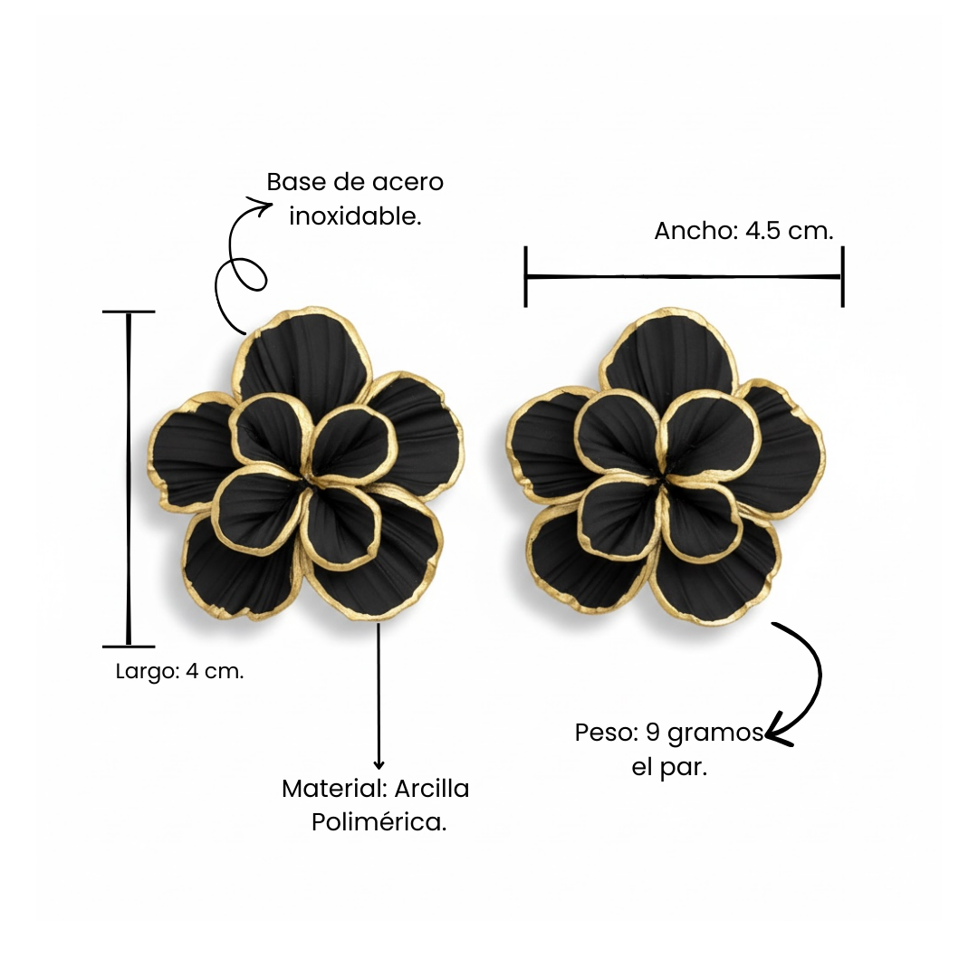 Clari | Golden Lines