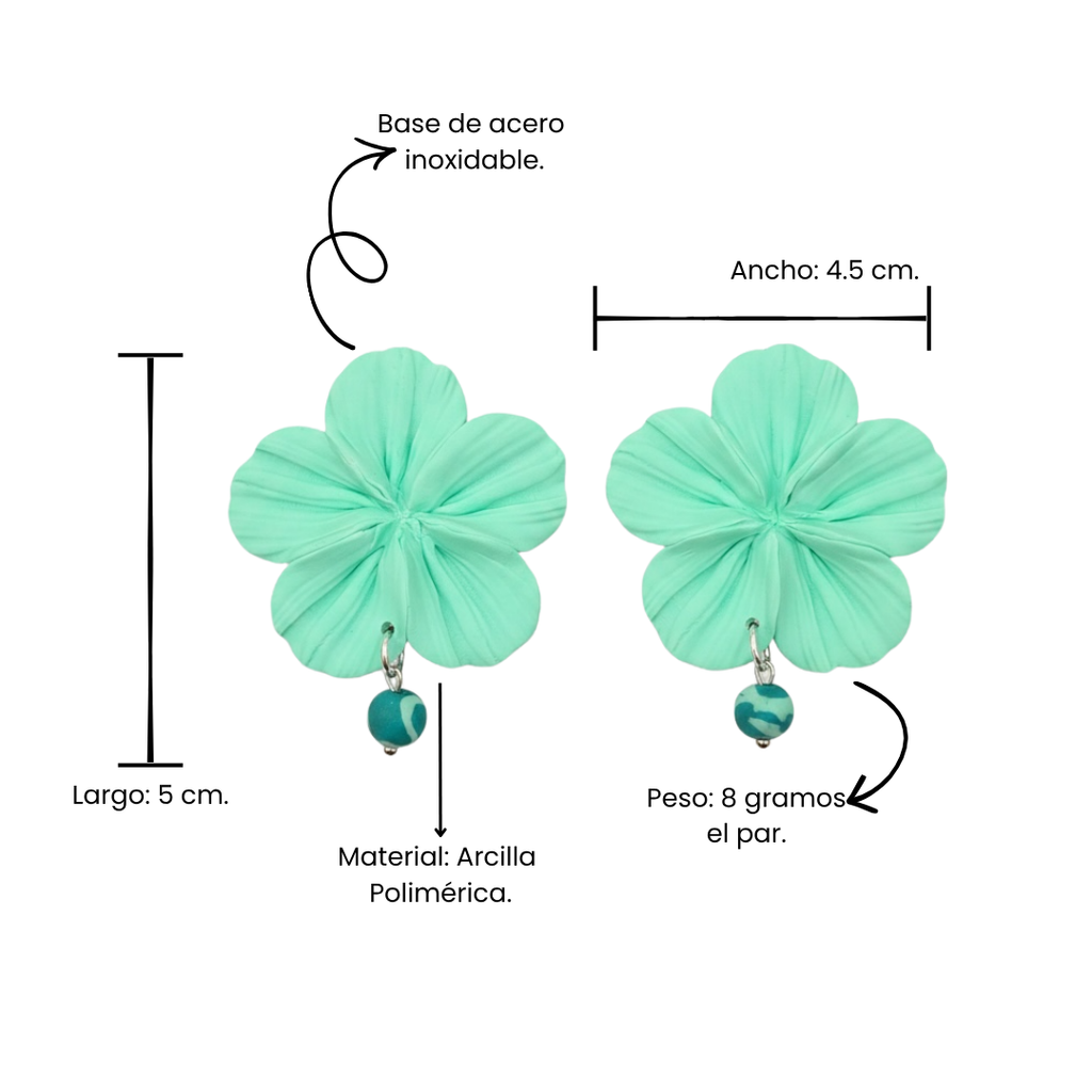 Clari | Pinna mint