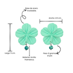 Clari | Pinna mint