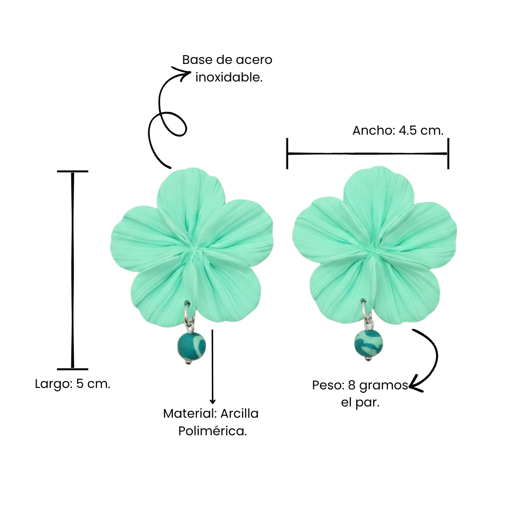Clari | Pinna mint