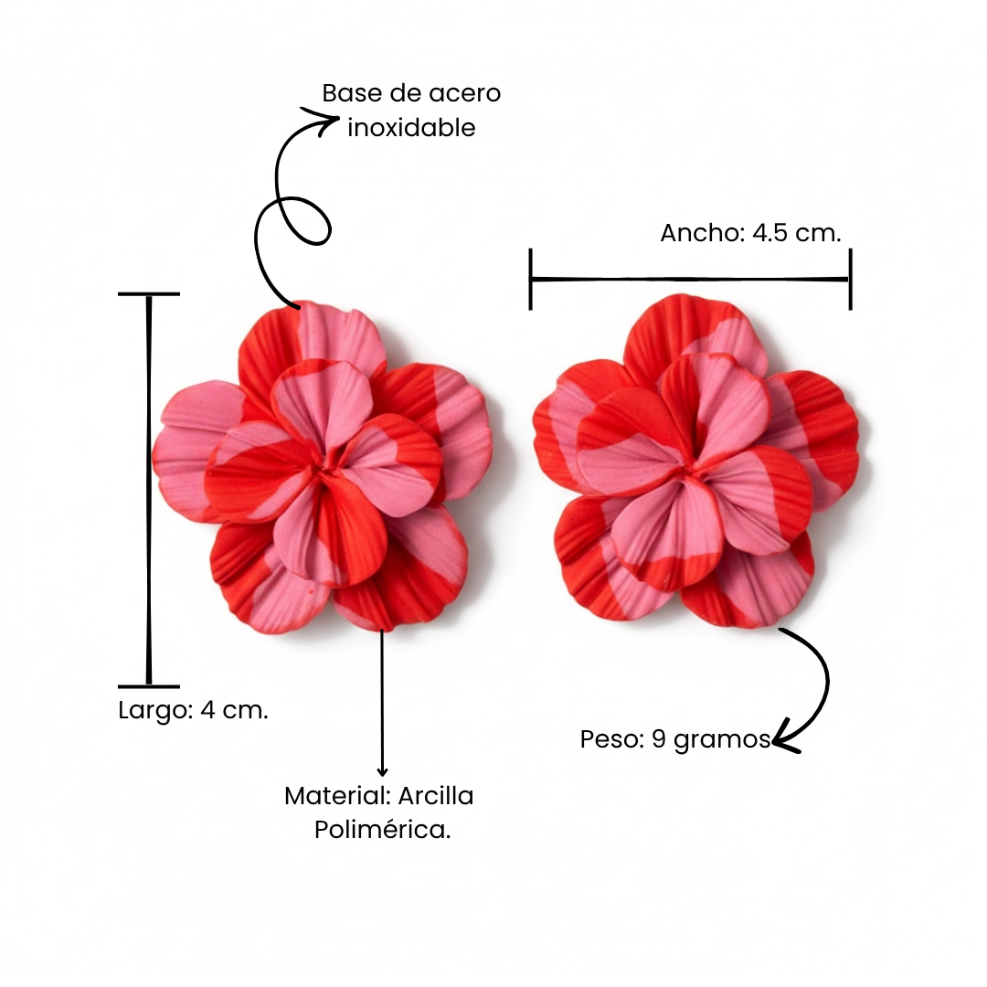 Clari | Rojo & Rosa