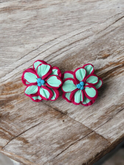 Clari | Calipso & Fucsia